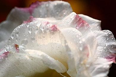 《秋末求生》登陆Steam正式推出 沙盒世界生存建设